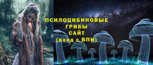 соль ск Алексеевка