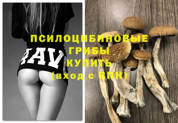 соль ск Алексеевка