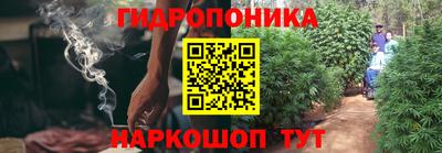 винт Партизанск