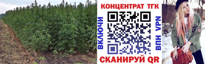 MEGA tor  Осинники  маркетплейс формула  ТГК вейп 